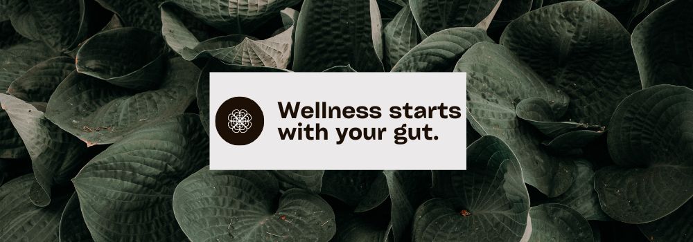 Nourishing Your Gut: A Journey to Holistic Well-Being