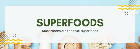 Mushrooms Unveiled: A Deep Dive into the Surprising Health Benefits